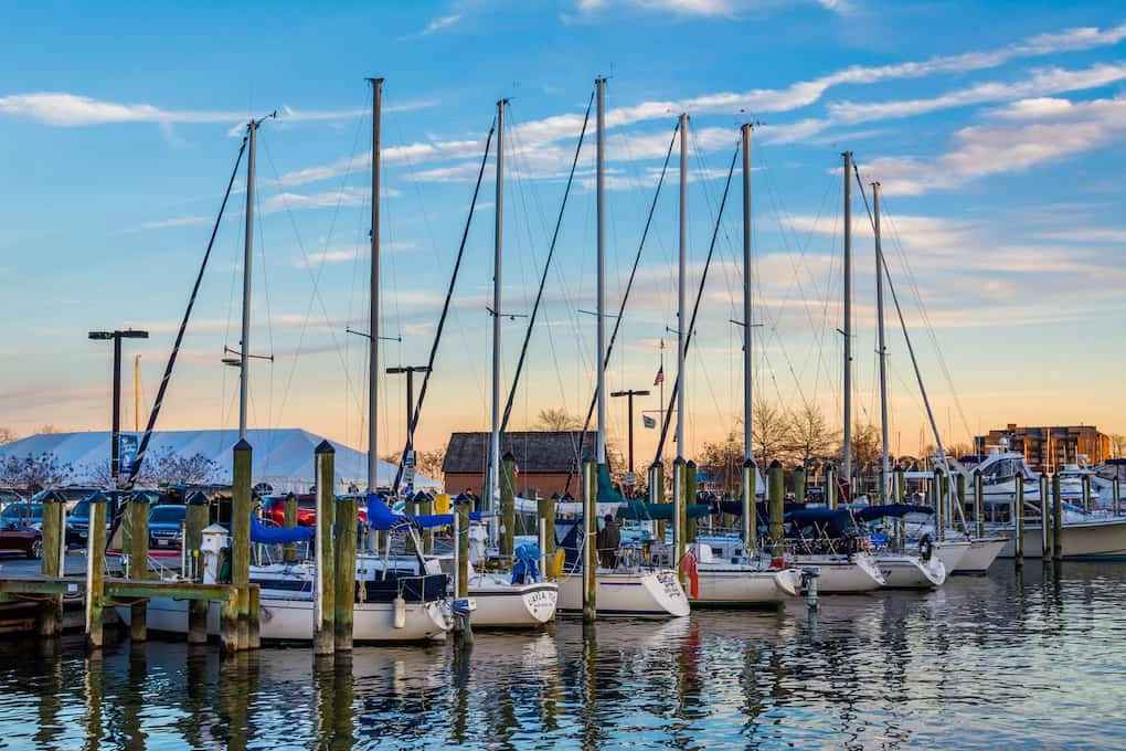 Sailboats in a marina at sunset, in Annapolis, Maryland