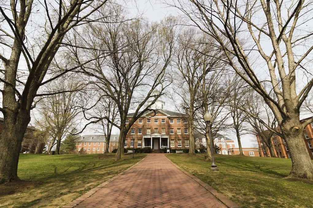 tree-lined approach to St John's College, Annapolis, Maryland