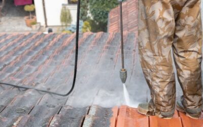 Does Your Roof Need Cleaning