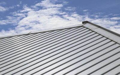 Pros and Cons of Metal Roofing in Maryland