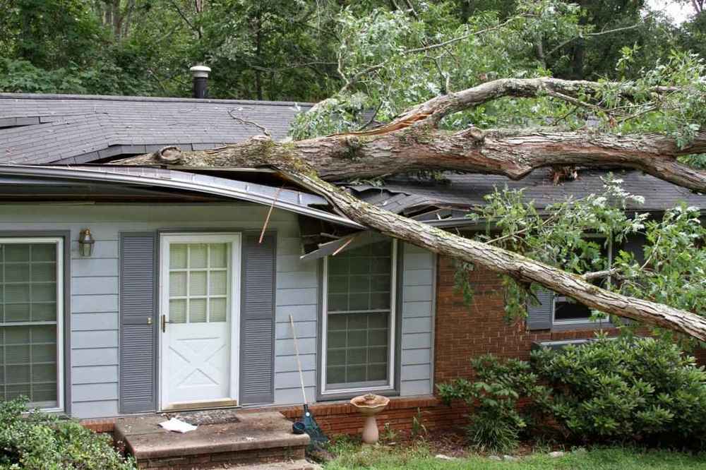 expert storm damage repair in Fort Washington MD