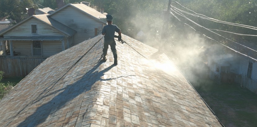 roof algae prevention in Northern Virginia