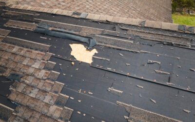 What to Do Immediately After Wind, Hurricane, or Tornado Roof Damage