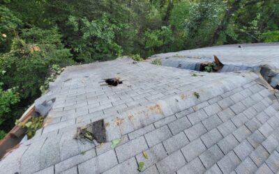 How to Navigate a Roof Insurance Claim After a Maryland Summer Storm