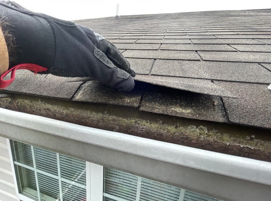 roof storm damage in Maryland